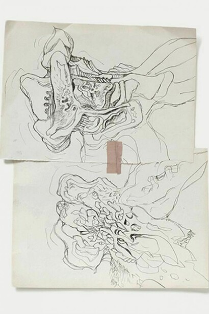 Mutation Study 53, Jan Manski, 2010 / 26 x 32 cm (10 1/16 x 12 9/16 in). Fat, plaster, pencil on paper, photo janmanski.com  
