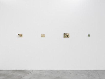 Kevin McNamee-Tweed, Honey on the wheel, exhibition view. Courtesy of Tatjana Pieters 