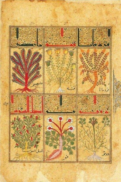 Illustrazioni de Il Kitâb al-Diryâq