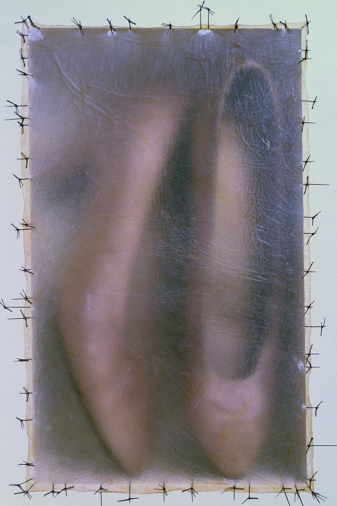 Atrabiliarios (detail), 1992–2004
Shoes, drywall, paint, wood, animal fiber, and surgical thread; 43 niches and 40 boxes, overall dimensions variable, San Francisco Museum of Modern Art, Accessions Committee Fund purchase: gift of Carla Emil and Rich Silverstein, Patricia and Raoul Kennedy, Elaine McKeon, Lisa and John Miller, Chara Schreyer and Gordon Freund, and Robin Wright © Doris Salcedo  