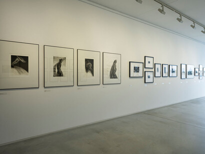 Guy Langevin and guests, exhibition view. Courtesy of Danubiana