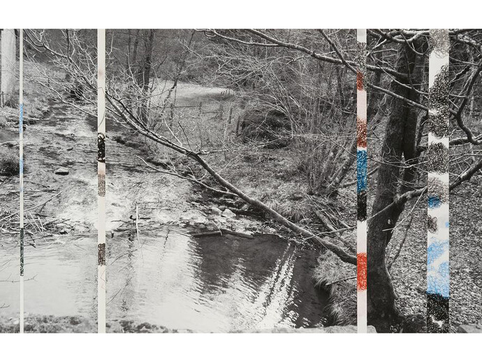 Ardennes Uncovered: Loss, 2014, one photograph, four drawings, 13.14 x 20.75 inches, 33 x 53 cm