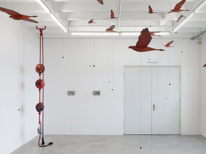 Camilla Steinum, Perception spot, exhibition view. Courtesy of Soy Capitán