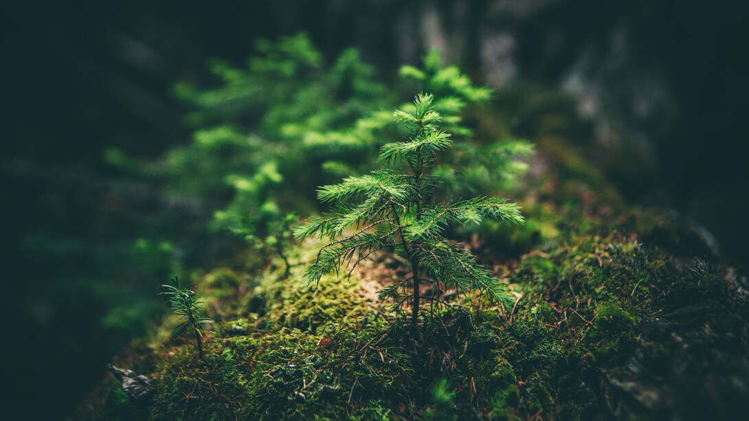 Desarrollarse requiere de gran consumo de energía y uso a gran escala de recursos naturales
