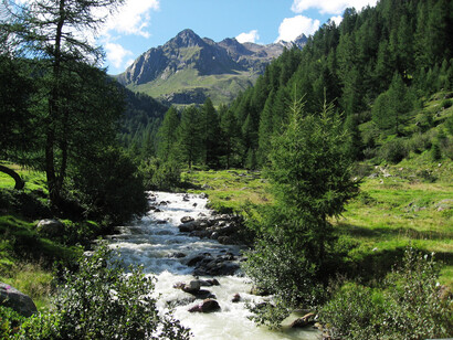 Il Passo dello Stelvio