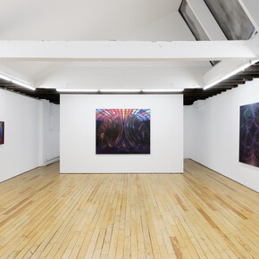 Nianxin Li, Neon haze, exhibition view. Courtesy of Uffner & Liu Gallery