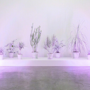 Andrew Dadson. Courtesy of The Contemporary Art Gallery