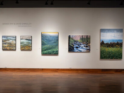 David Shingler and Danna Ray, Two perspectives, exhibition view. Courtesy of Momentum Gallery