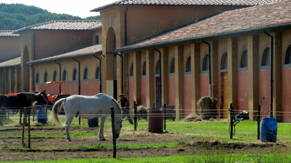 Copertina Tenuta di San Rossore