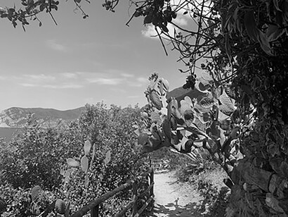 Paesaggi mozzafiato si aprono su sentieri da percorrere a piedi, foto Claudia Zanfi