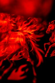 Harnessing the intense energy of the Fire Horse to charge toward new horizons with passion and clarity
