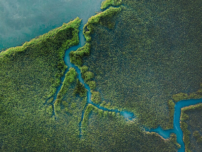 Vista aérea de una llanura mareal