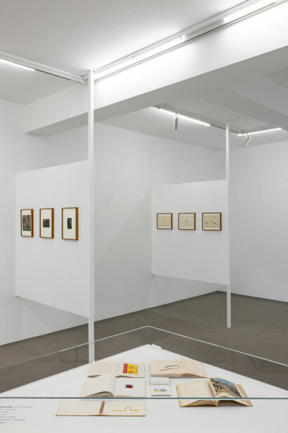CK Rajan, Rajan one, exhibition view. Courtesy of Galerie Mirchandani + Steinruecke