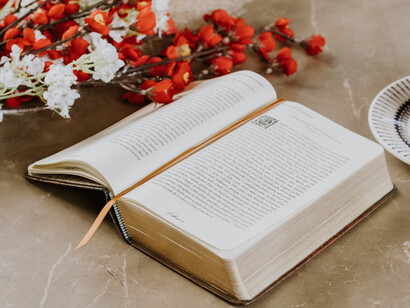 Un ramo de rosas, levemente marchitas, rozan las páginas de un libro sin acabar