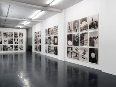 Eggs and rarities. Courtesy of Otto Zoo