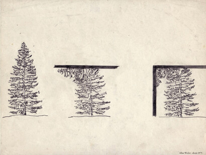 Allan Wexler, Tree intersecting plane, about 1975