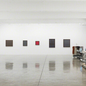 Laura Lima. Courtesy of Tanya Bonakdar Gallery