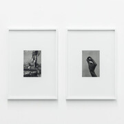 The Pathos of Things. Courtesy of 3+1 Arte Contemporanea 