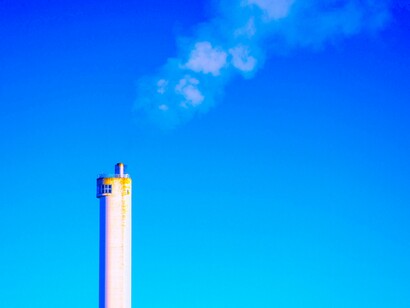 Grandes corporaciones anuncian sus planes para convertirse en empresas «negativas en emisiones de carbono»