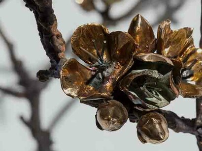 Javier Pérez. Courtesy of Galería Carles Taché