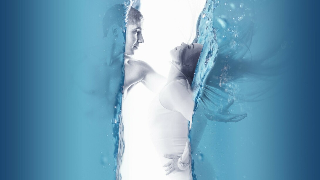 Costituzione Acqua (Rene - Vescica)