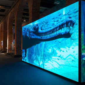 Somos agua, vista de la exposición, Fundación Canal, Madrid. Courtesy of Fundación Canal