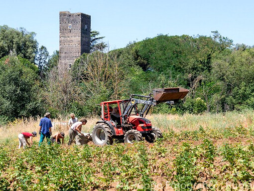 La Cooperativa Agricola Coraggio è una realtà giovane e dinamica che promuove l’agricoltura sostenibile nel cuore di Roma, al Borghetto San Carlo. @Cooperativa Agricola Coraggio