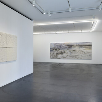 Reika Takebayashi, A petal falling, exhibition view. Courtesy of Taka Ishii Gallery 