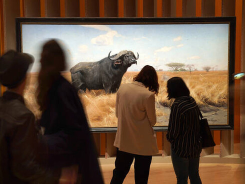 King of the Animals. Courtesy of SCHIRN