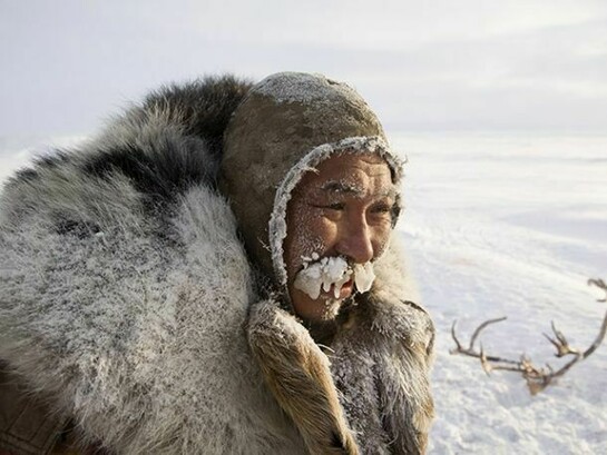 Grisha Rahtyn, a Chukchi reindeer herder. Chukotskiy Peninsula, north east Siberia. (2010)