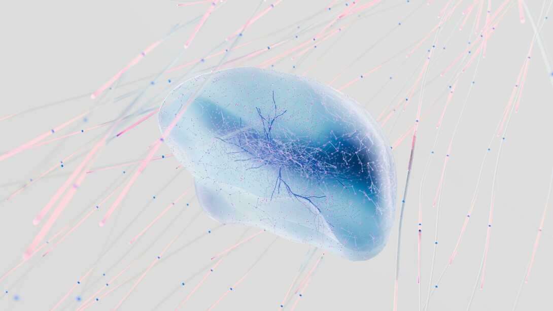 Imagen que representa como las máquinas aprenden, inspiradas por la neurociencia y el cerebro humano