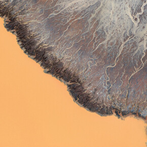 Vital Force. Courtesy of Front Room Gallery