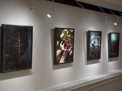 Alexa Cushing and Connor Noll, By Your Window, 2023, installation view. Courtesy of Panopticon Gallery