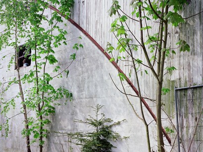 Frances Kearney, Untitled I. Running Wild, 2013 © Frances Kearney