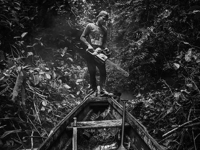Amazonie. Jasson Oliveira, un habitant de la réserve extractive d'Arapixi en Amazonie brésilienne, utilise une tronçonneuse pour dégager le chemin de son canoë lorsqu'il se rend à la collecte de noix du Brésil © Lalo de Almeida 
