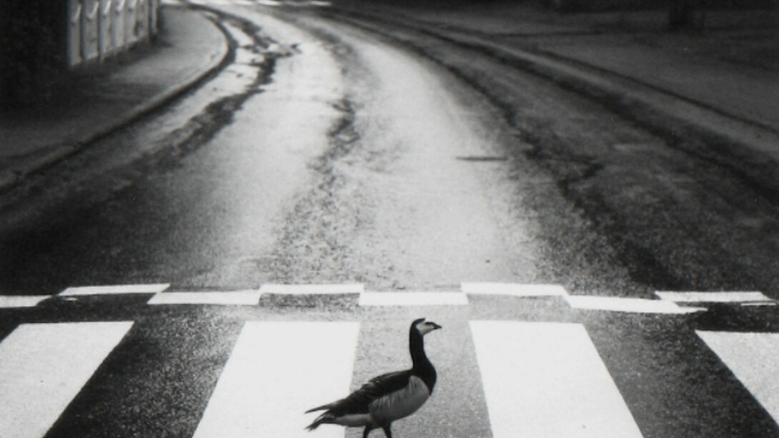 Warm Regards. Courtesy of Photo-eye Gallery