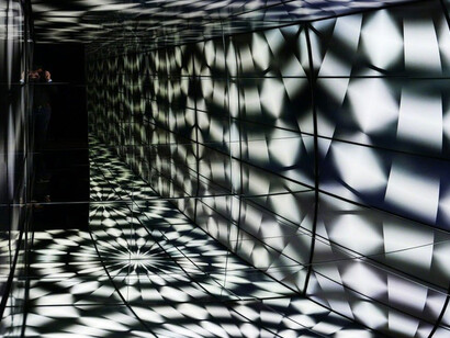 Peter Kogler. Courtesy of Galerie Mitterrand