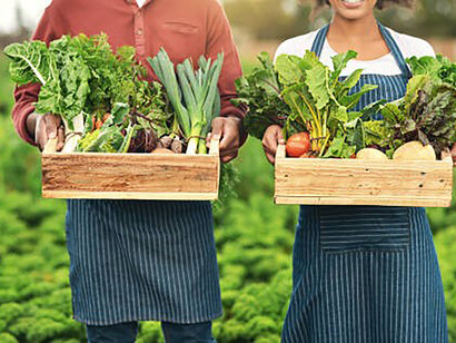 Amid the fall season, a rich and plentiful harvest unfolds, embodying the rewards reaped from sustainable cultivation and underscoring the symbiotic relationship between humanity and the environment