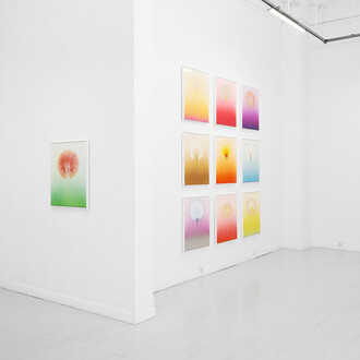 Thierry Feuz, Synthetic Eden, exhibition view. Courtesy of Galleri Christoffer Egelund 