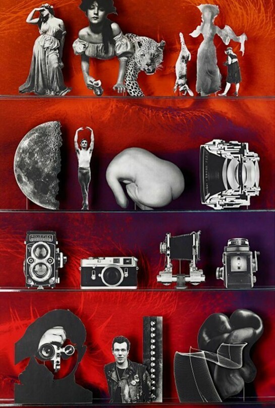 Matt Lipps, Camera, C-print, 81.25 x 50 inches, 2013