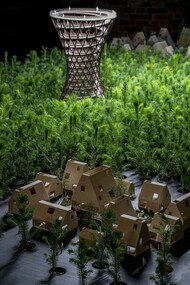 Biennale Architettura 2021, Padiglione della Danimarca, foto Marco Zorzanello