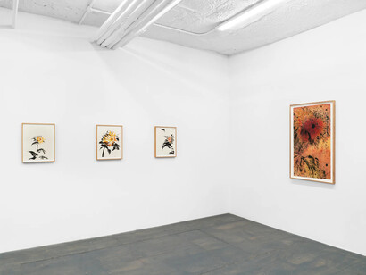 Kyung-Me, I, sunflower, exhibition view. Courtesy of Bureau