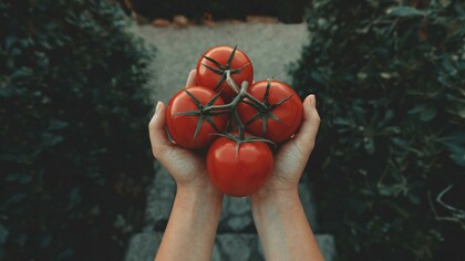 Oggi si fa la salsa