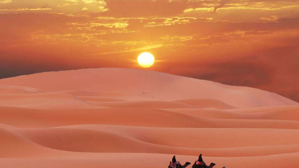 Escape to the Desert