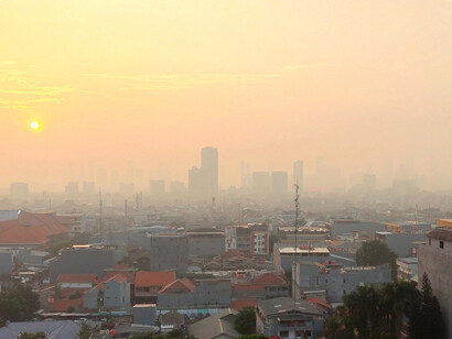 The Earth Pledge: I will not travel by car
