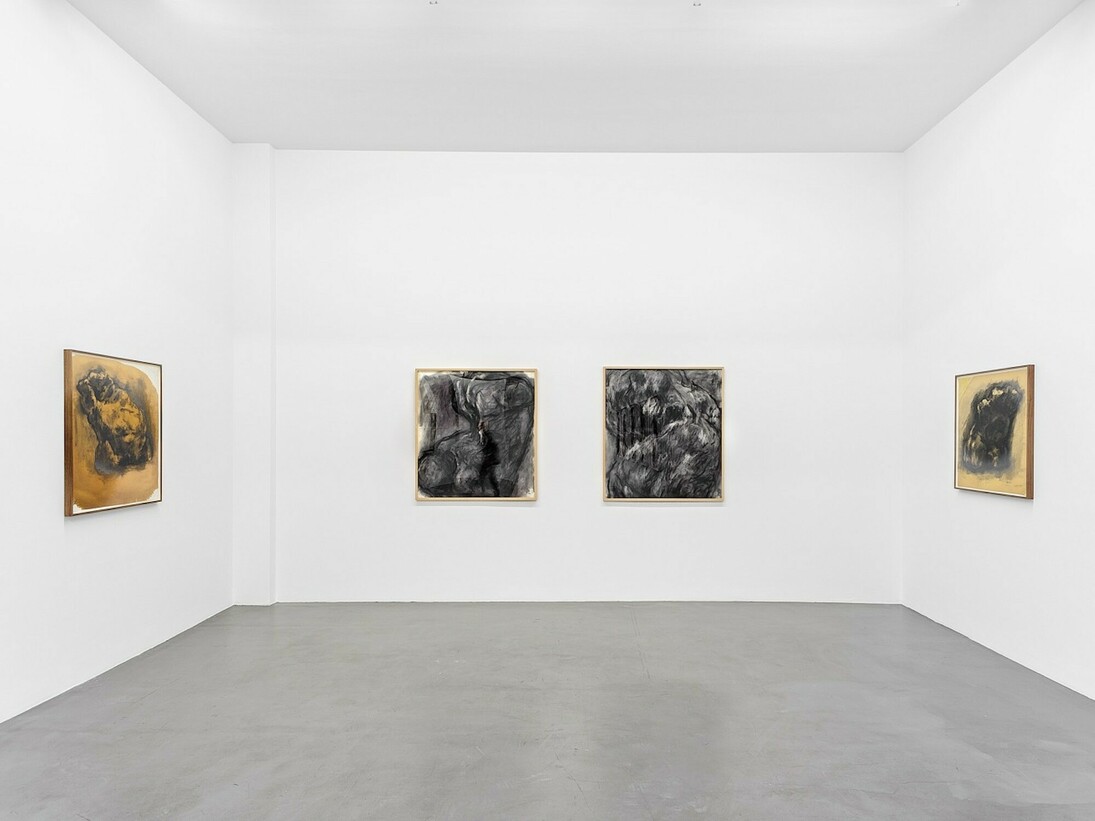 William Tucker, Charcoal Drawings
Installation view. Buchmann Galerie, 2017