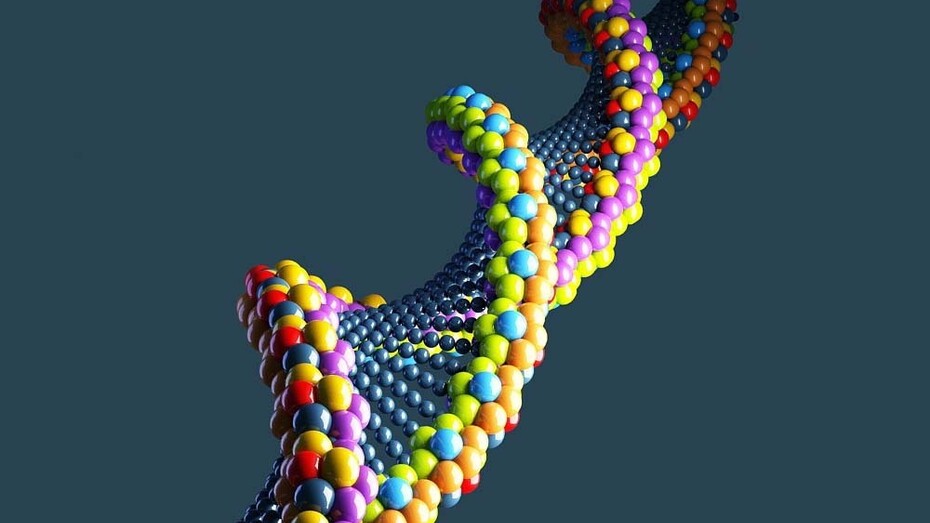 The movement of DNA in 3D