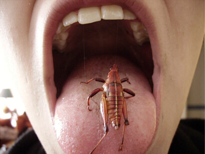 Chapulín sobre lengua con boca abierta al fondo