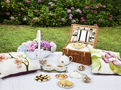 A well-organized picnic
