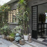 Commonwealth and Council